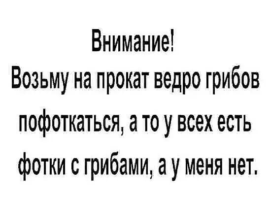 IMG-20220830-WA0000.jpg