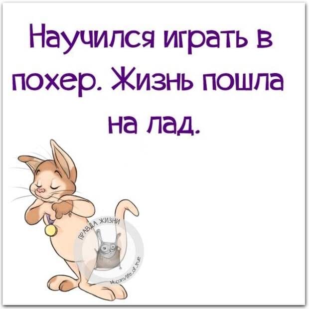 IMG-20221027-WA0008.jpg