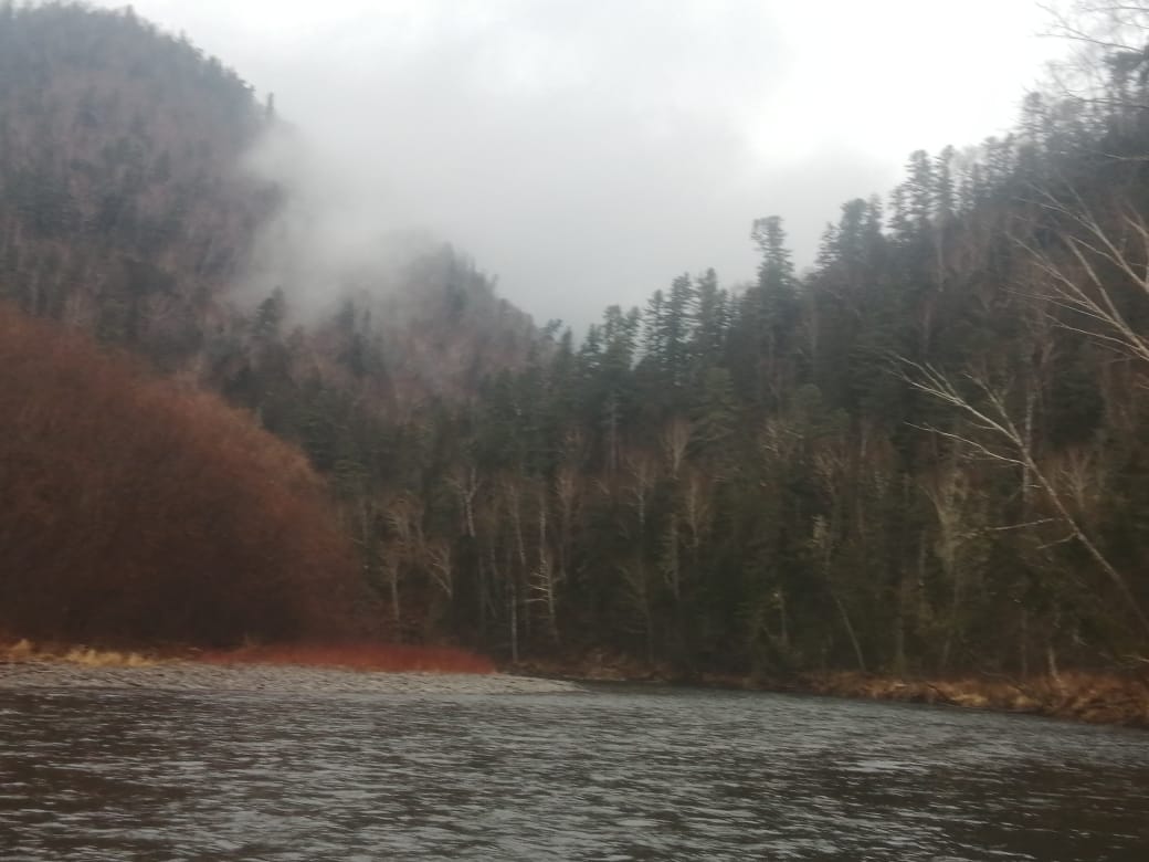 IMG-20221030-WA0000.jpg