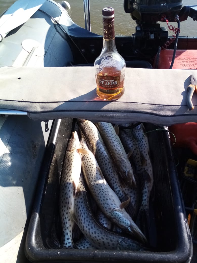 IMG-20221105-WA0010.jpg