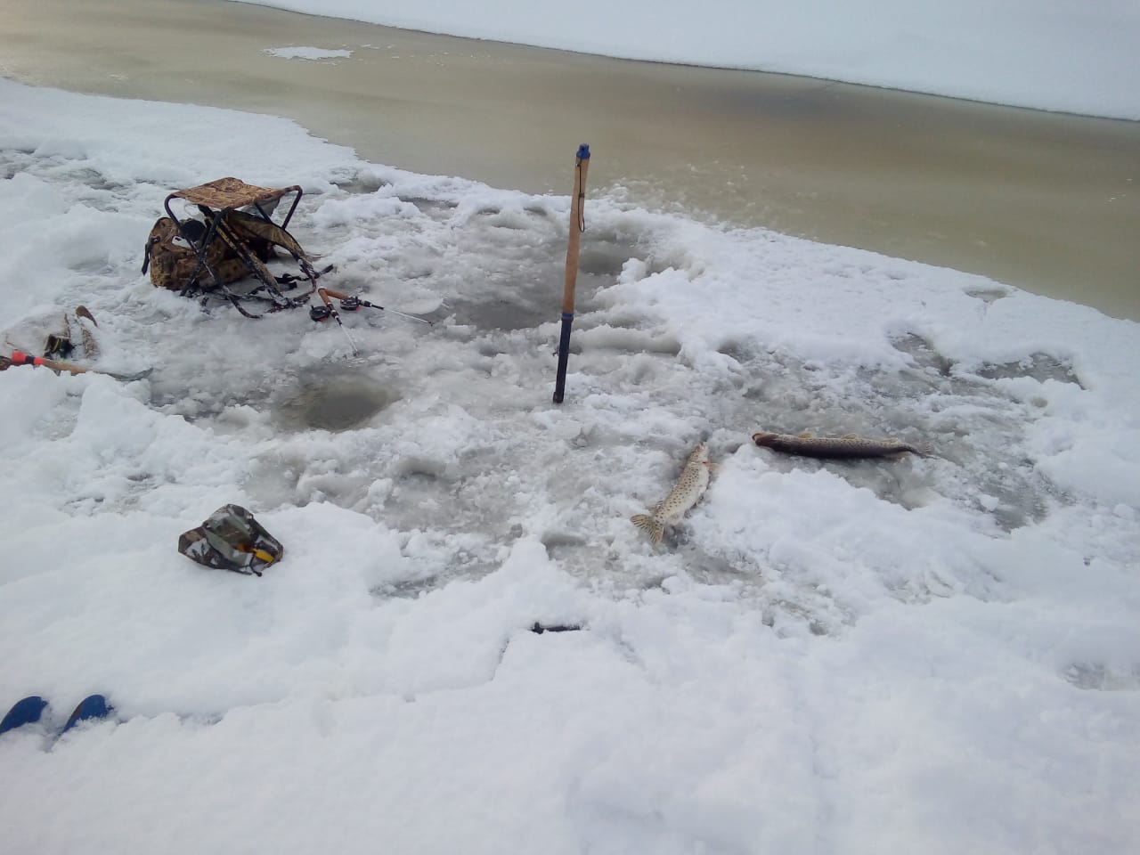 IMG-20221126-WA0034.jpg