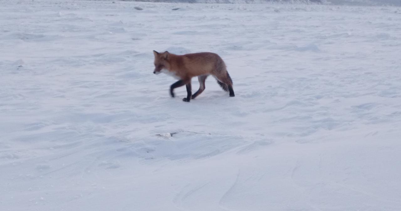 IMG-20221203-WA0027.jpg IMG-20221203-WA0027.jpg