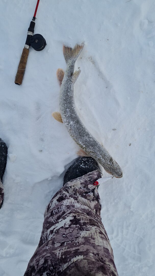 IMG-20221206-WA0012.jpeg
