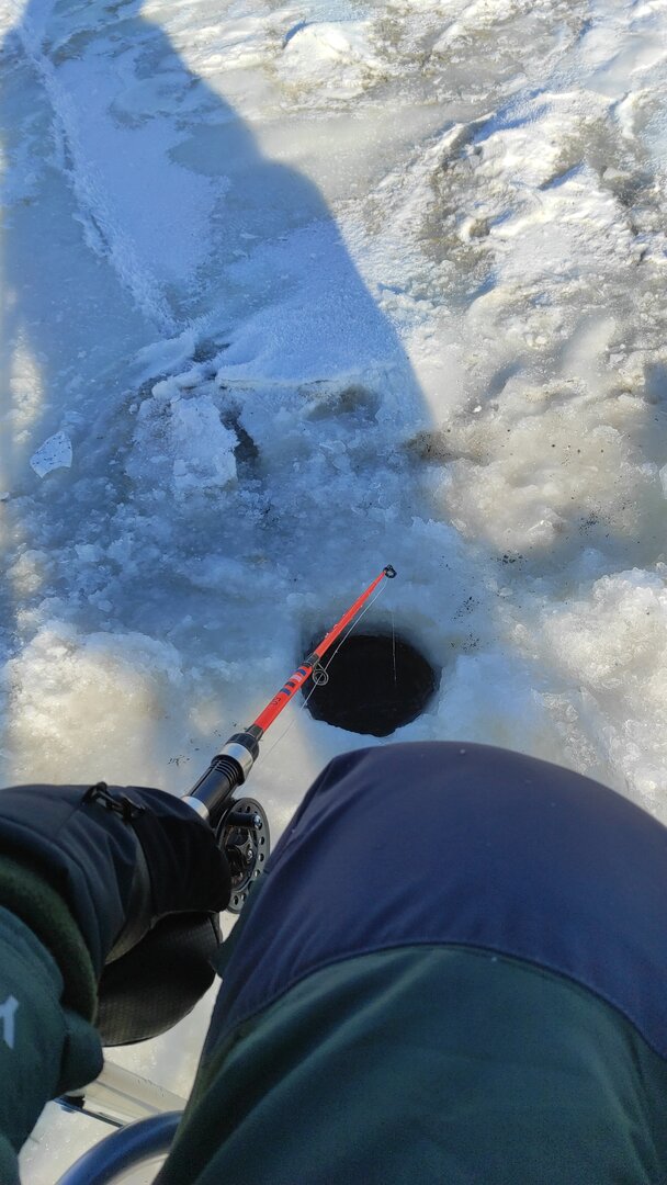 IMG-20221210-WA0011.jpeg