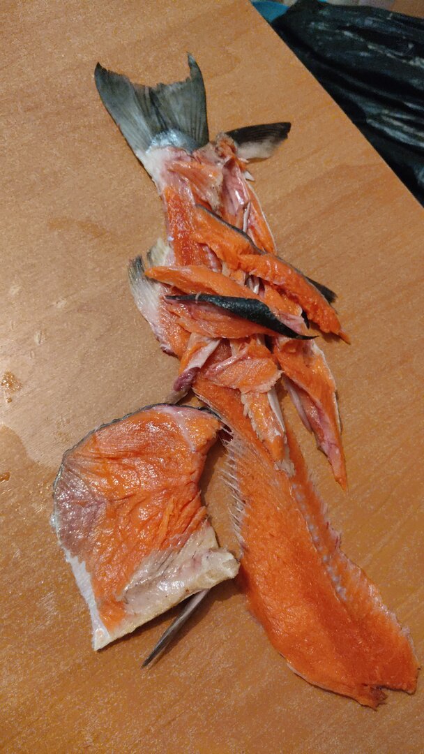 IMG-20230104-WA0026.jpeg