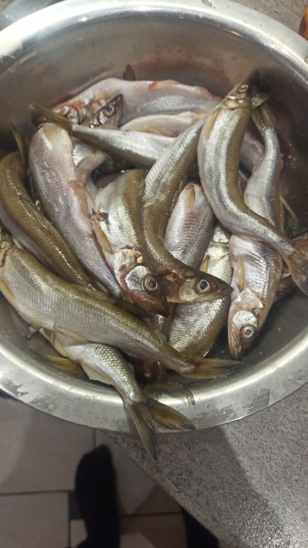 IMG-20230122-WA0093.jpeg