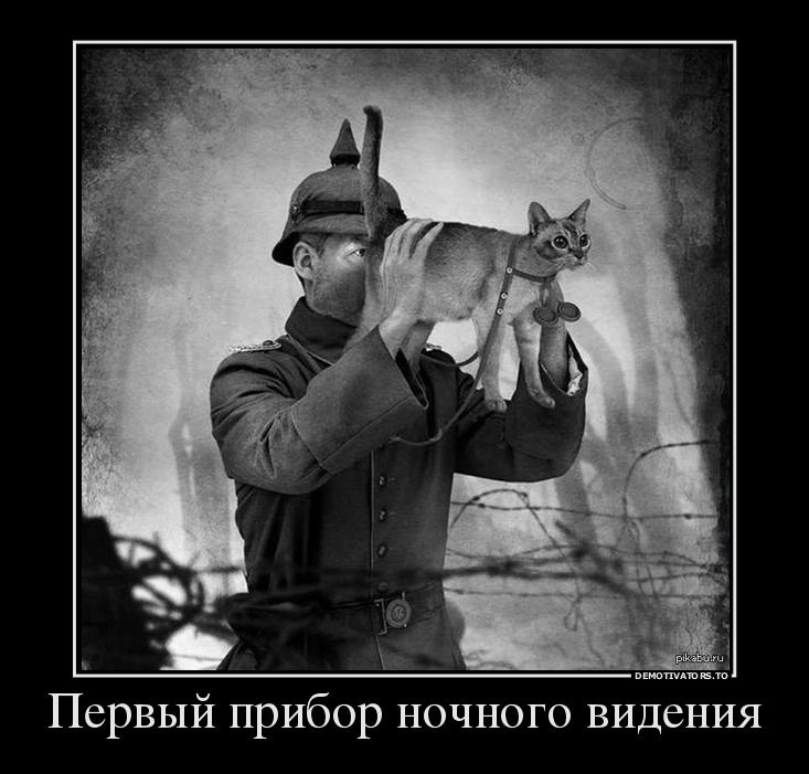 IMG-20230125-WA0000.jpg