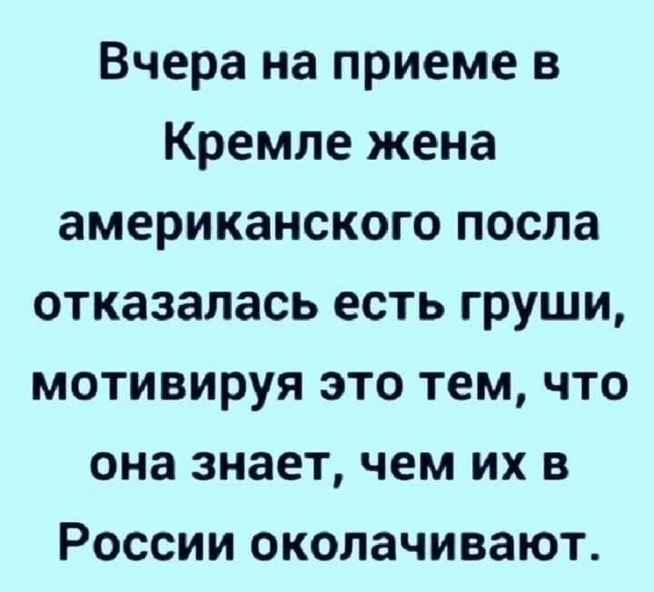 IMG-20230201-WA0006.jpg