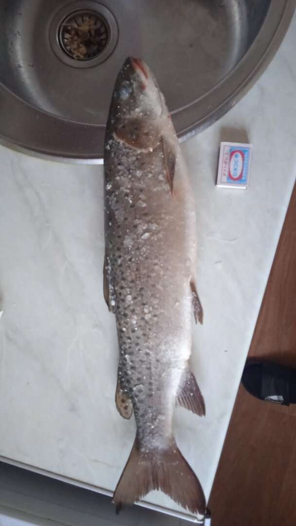 IMG-20230207-WA0021.jpeg