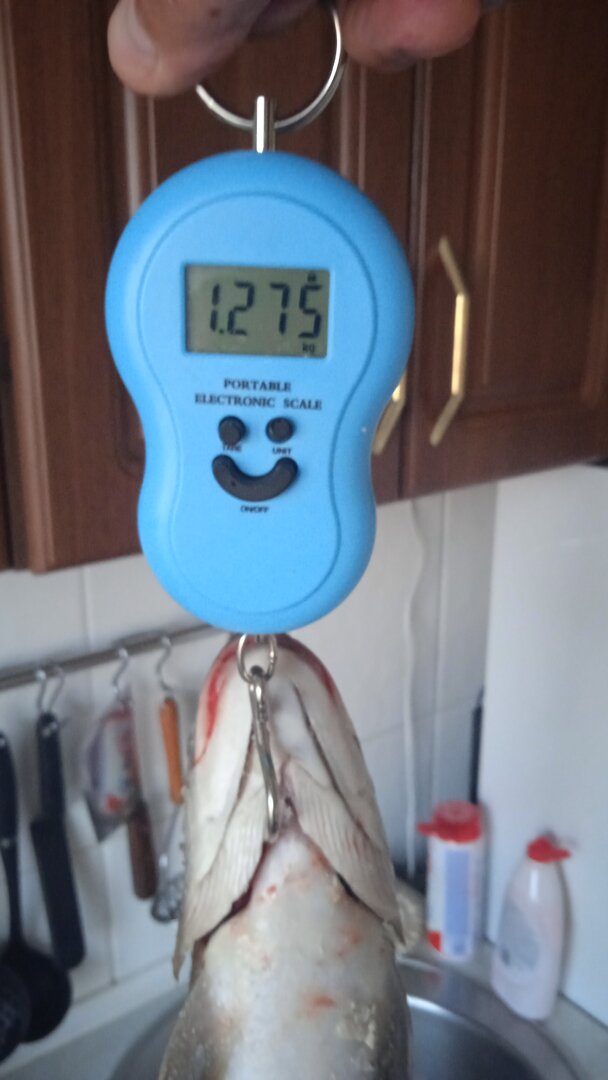 IMG-20230207-WA0023.jpeg