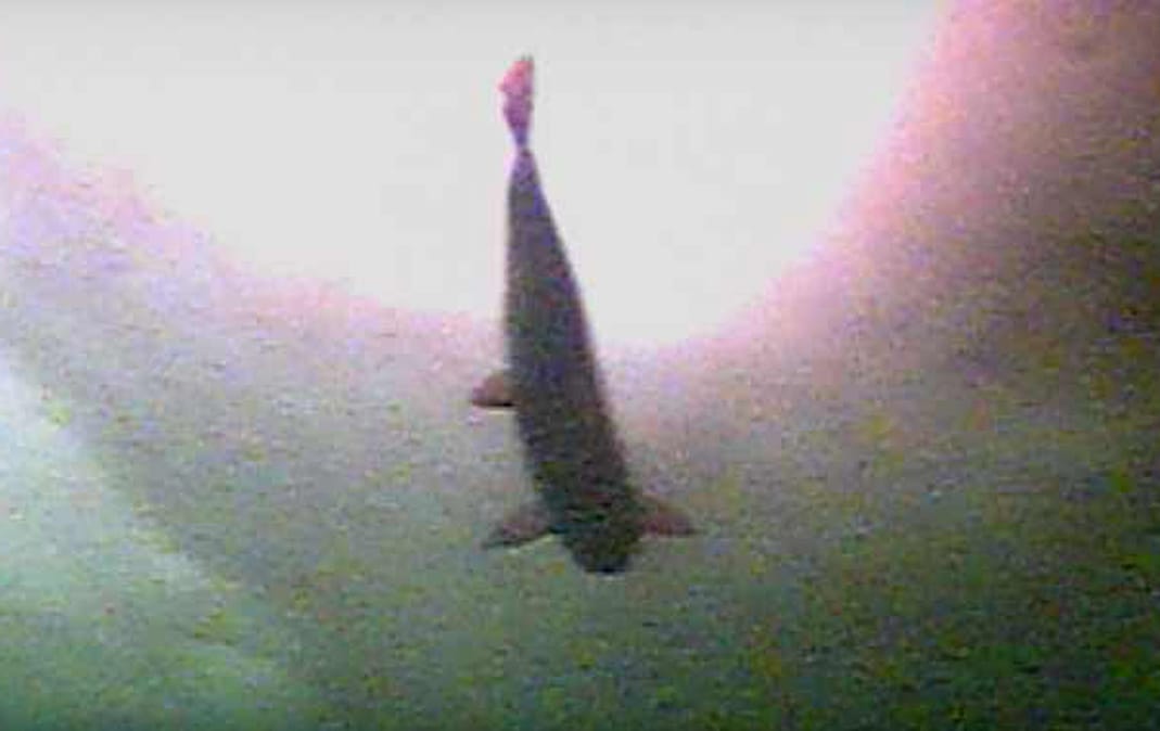 IMG-20230227-WA0102.jpg