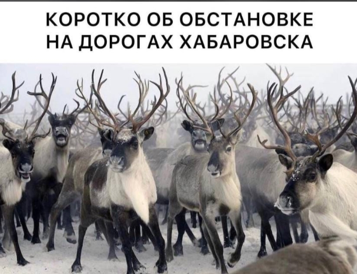 IMG-20230317-WA0000.jpg