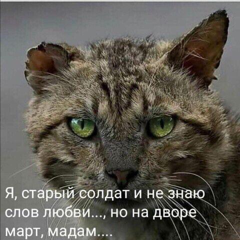 IMG-20230319-WA0000.jpg