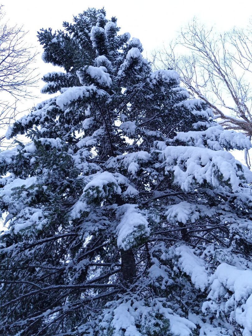 IMG-20230415-WA0008.jpg