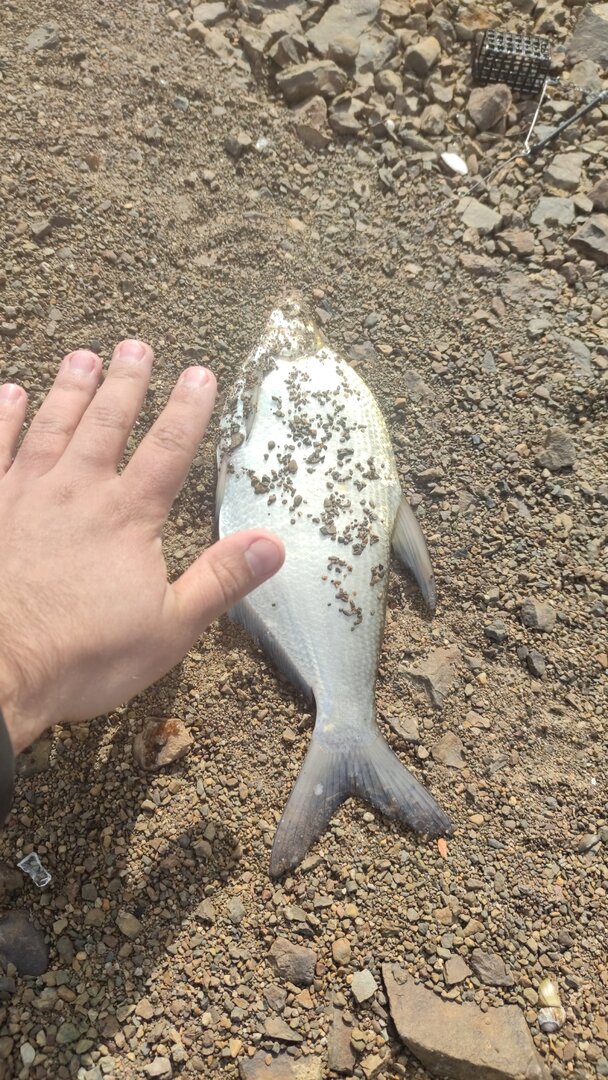 IMG-20230503-WA0016.jpeg