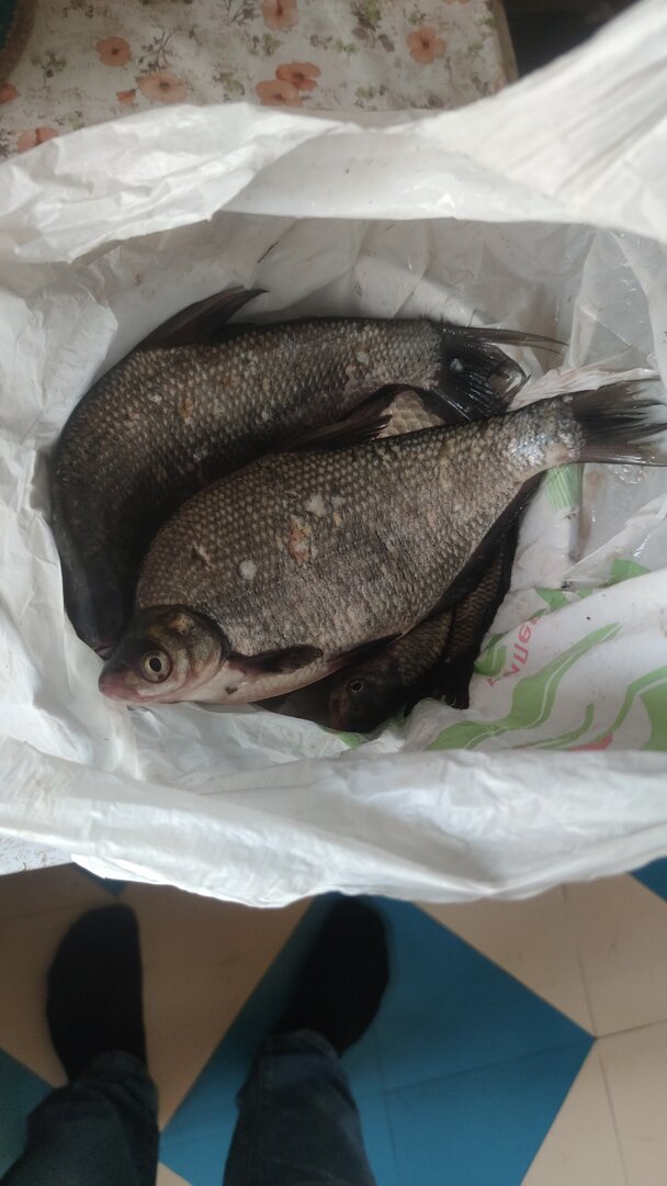 IMG-20230503-WA0027.jpeg