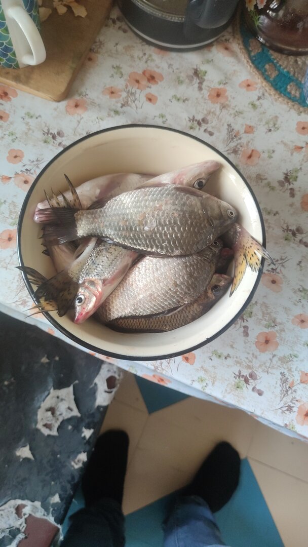 IMG-20230503-WA0029.jpeg