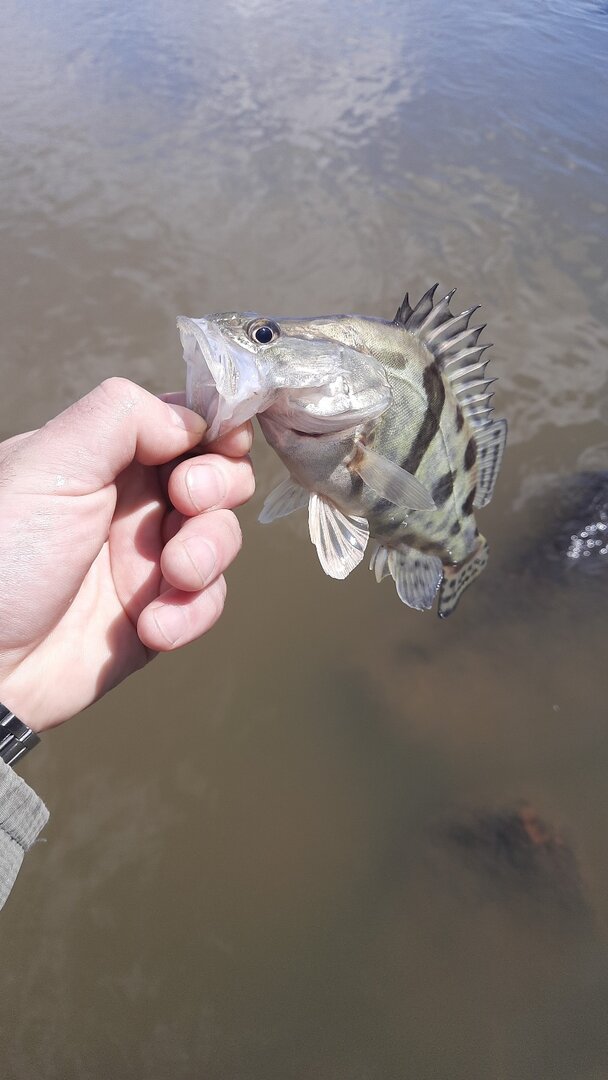 IMG-20230506-WA0004.jpeg
