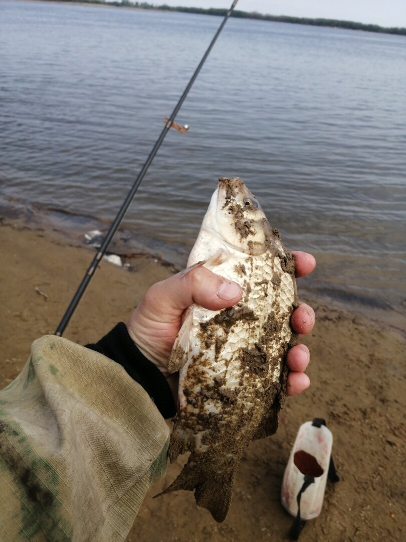 IMG-20230514-WA0002.jpeg