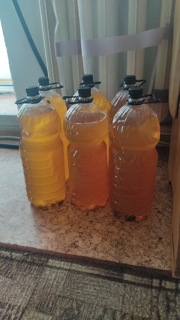 IMG-20230603-WA0007.jpeg