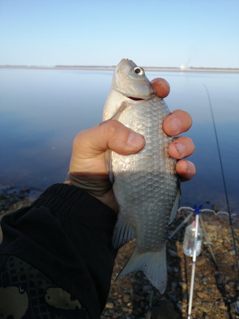 IMG-20231007-WA0000.jpeg