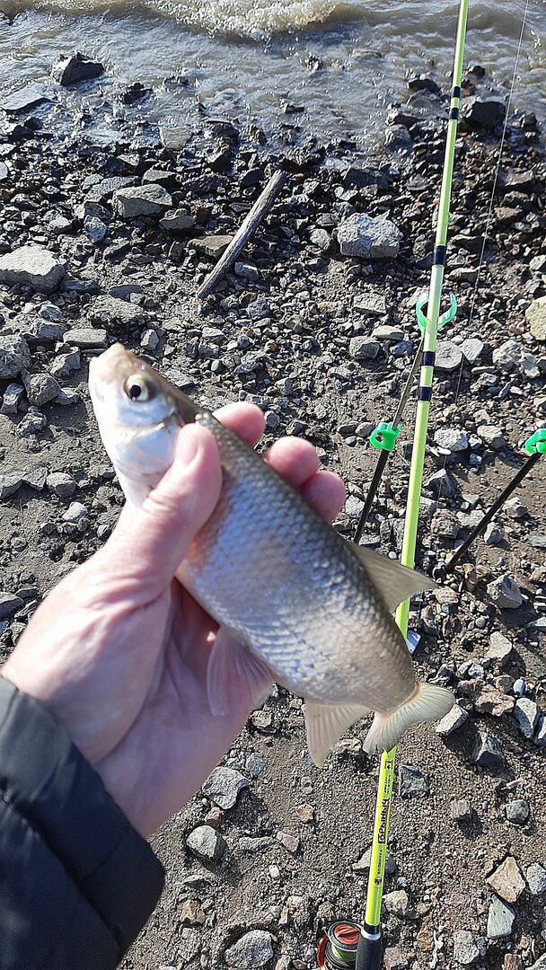 IMG-20231027-WA0018.jpeg