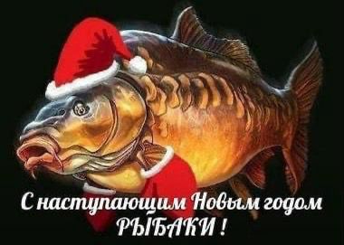 IMG-20231231-WA0006.jpg