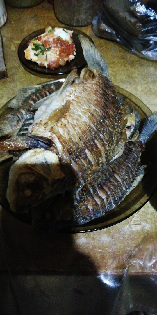 IMG-20240421-WA0038.jpeg