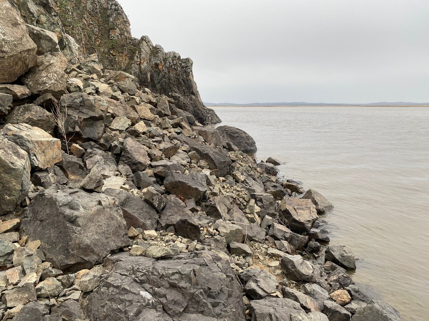 IMG-20240505-WA0017.jpg
