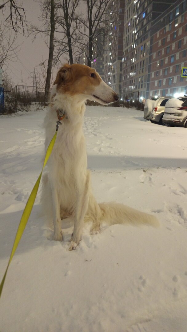 IMG-20241214-WA0022.jpeg