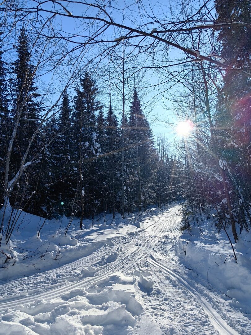 IMG-20250104-WA0002.jpg