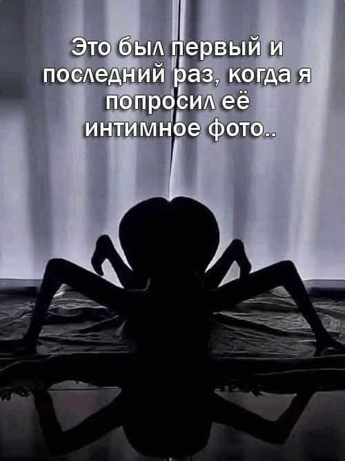 IMG-20250422-WA0008.jpg