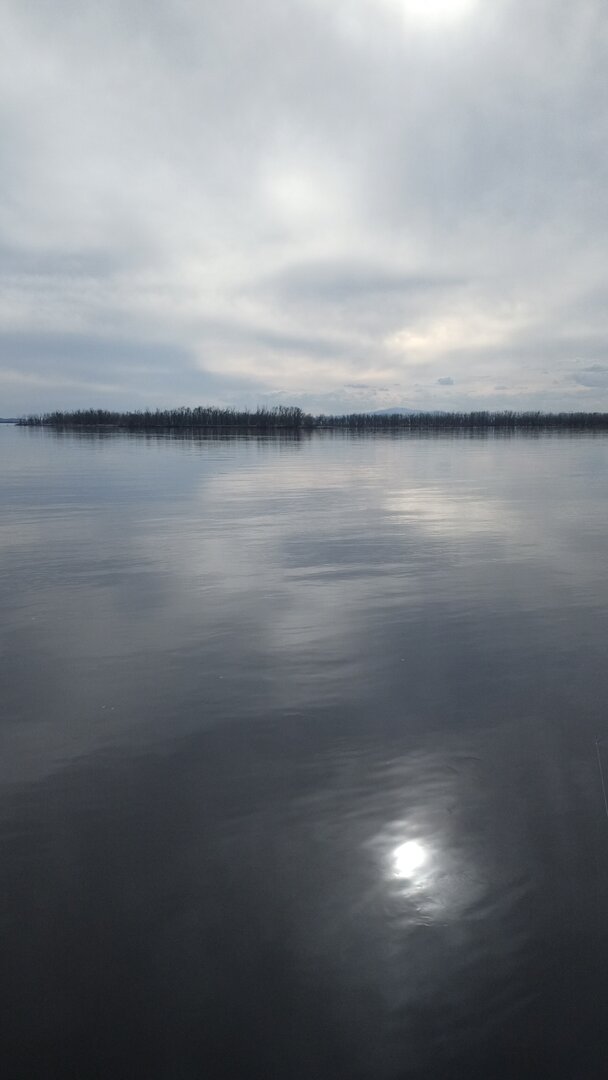 IMG-20250509-WA0014.jpeg