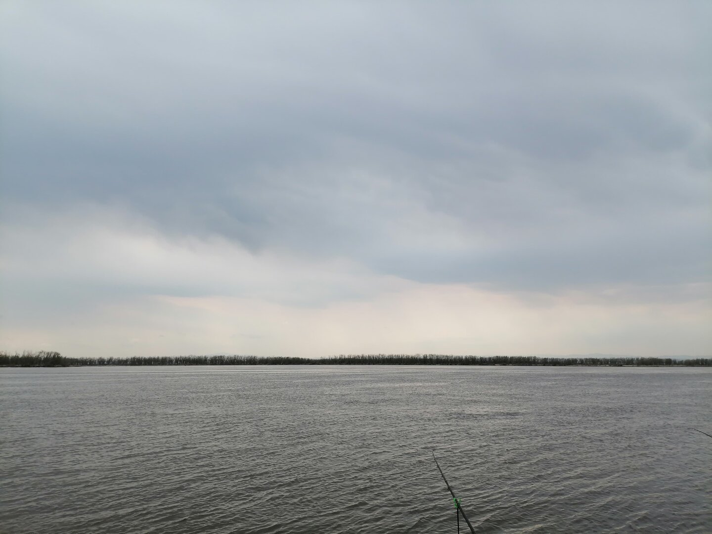 IMG-20250511-WA0010.jpg