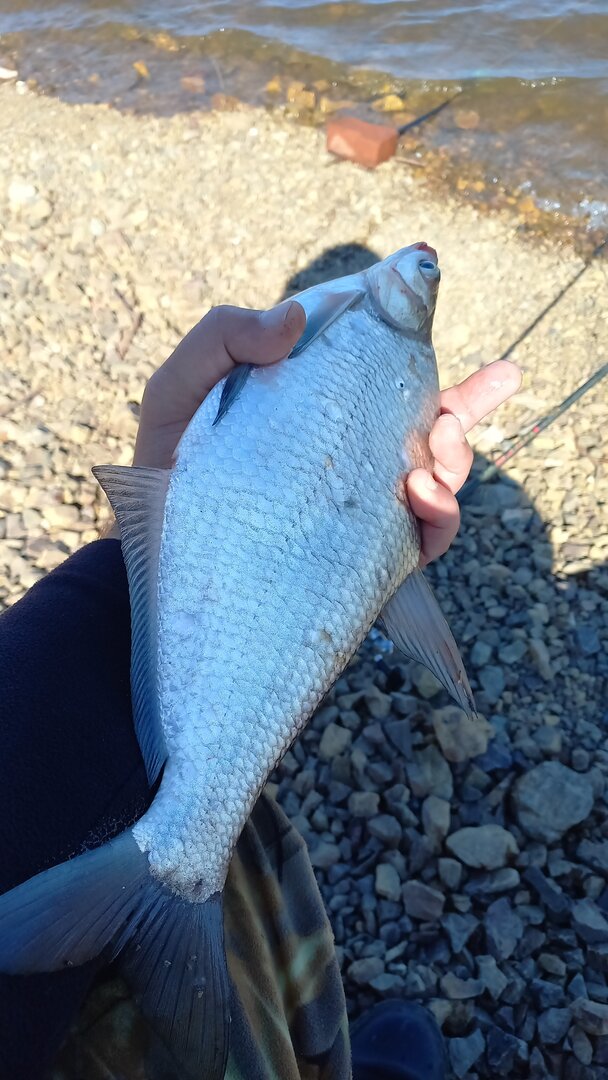 IMG-20250526-WA0001.jpeg