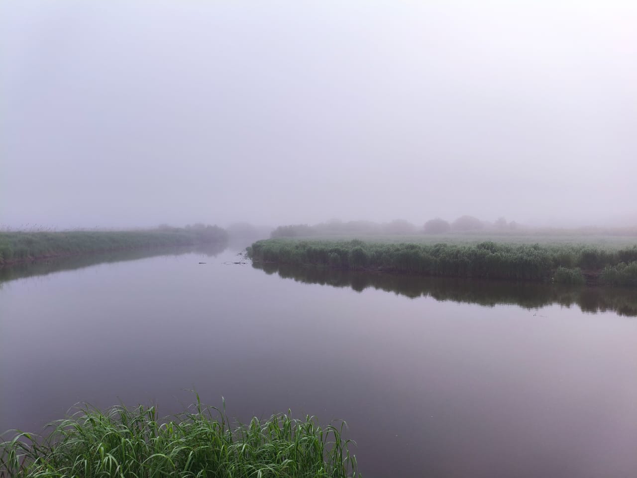 IMG-20250601-WA0016.jpg