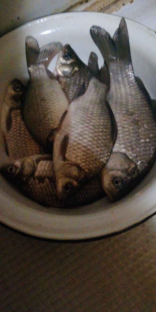 IMG-20250605-WA0004.jpeg