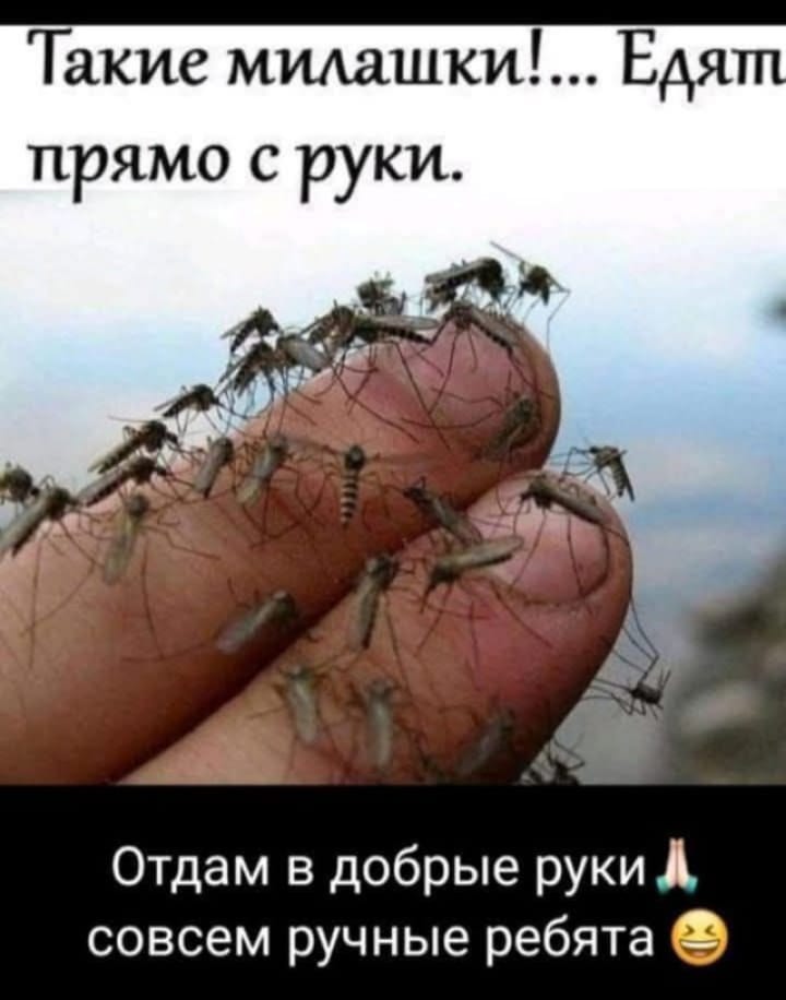 IMG-20250610-WA0000.jpg
