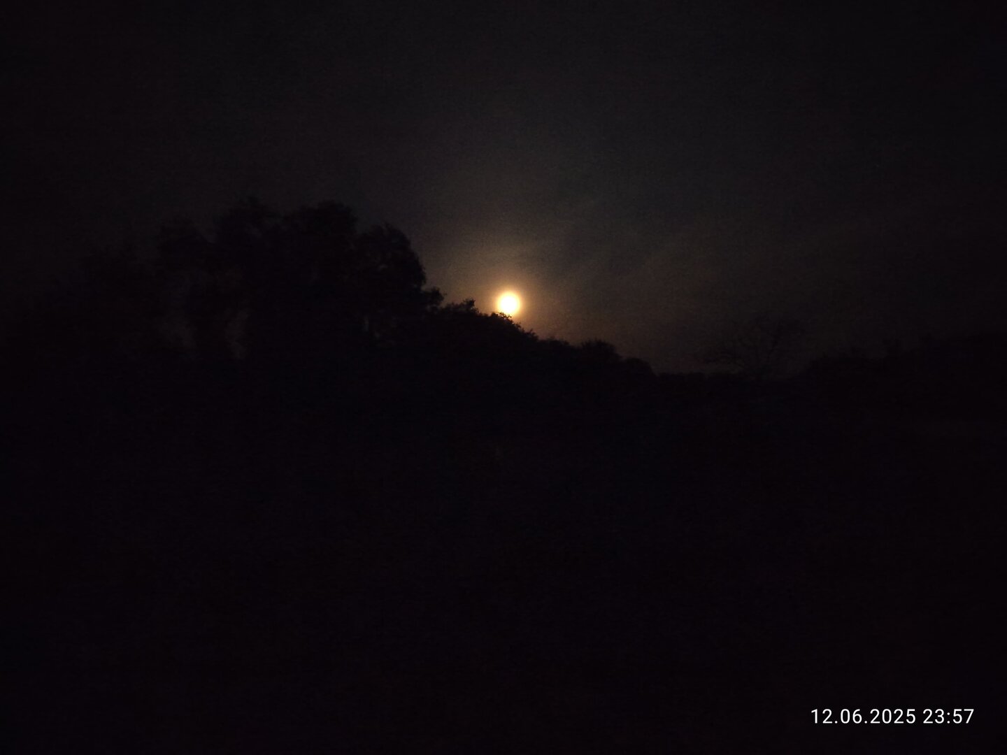 IMG-20250613-WA0003.jpg