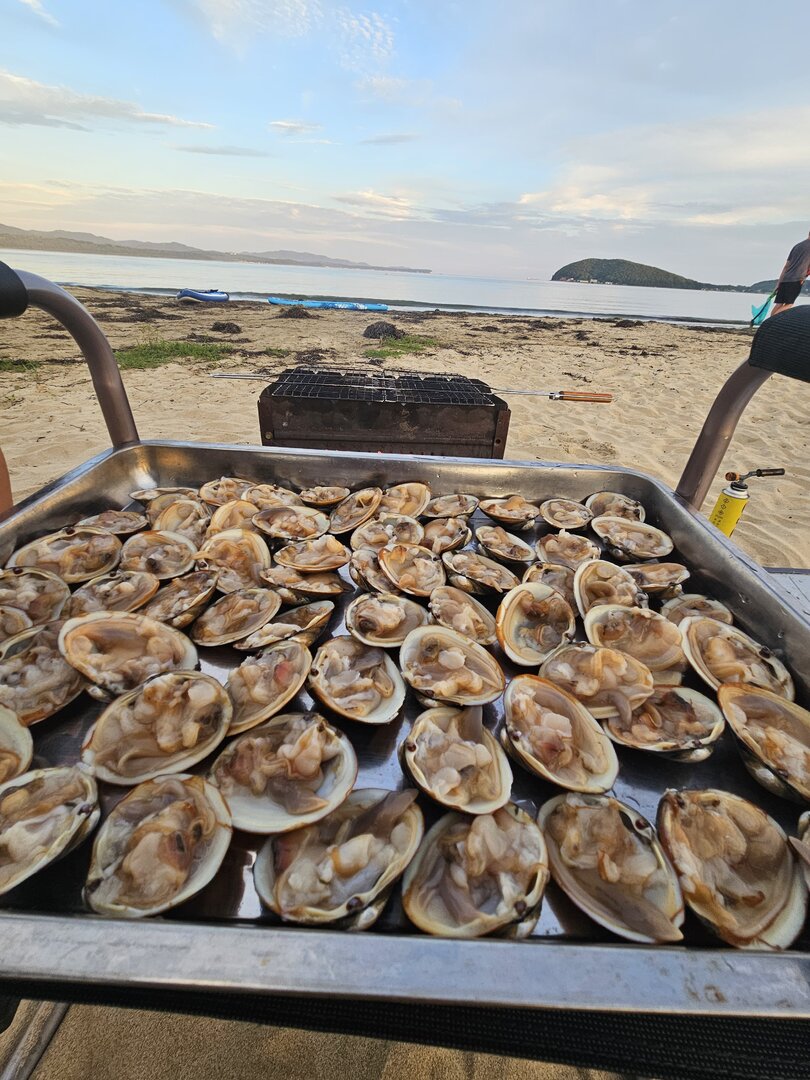 IMG-20250722-WA0192.jpg