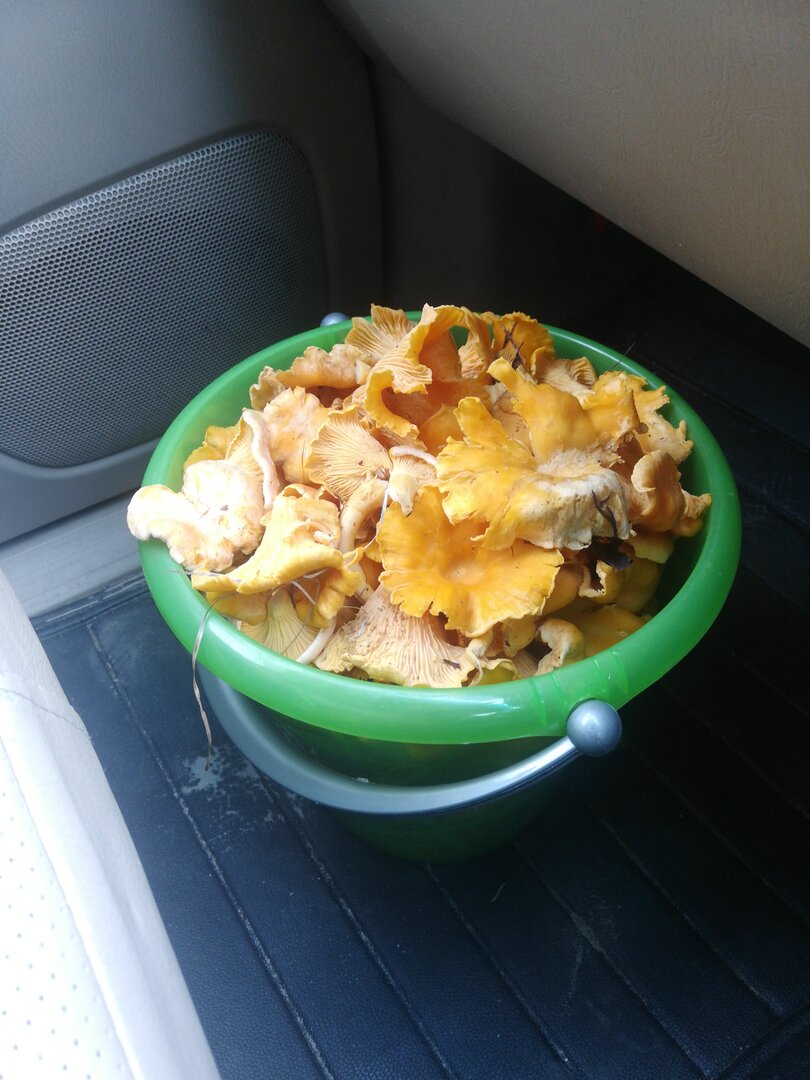 IMG-20250801-WA0010.jpeg