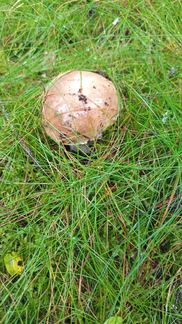 IMG-20250830-WA0017.jpeg