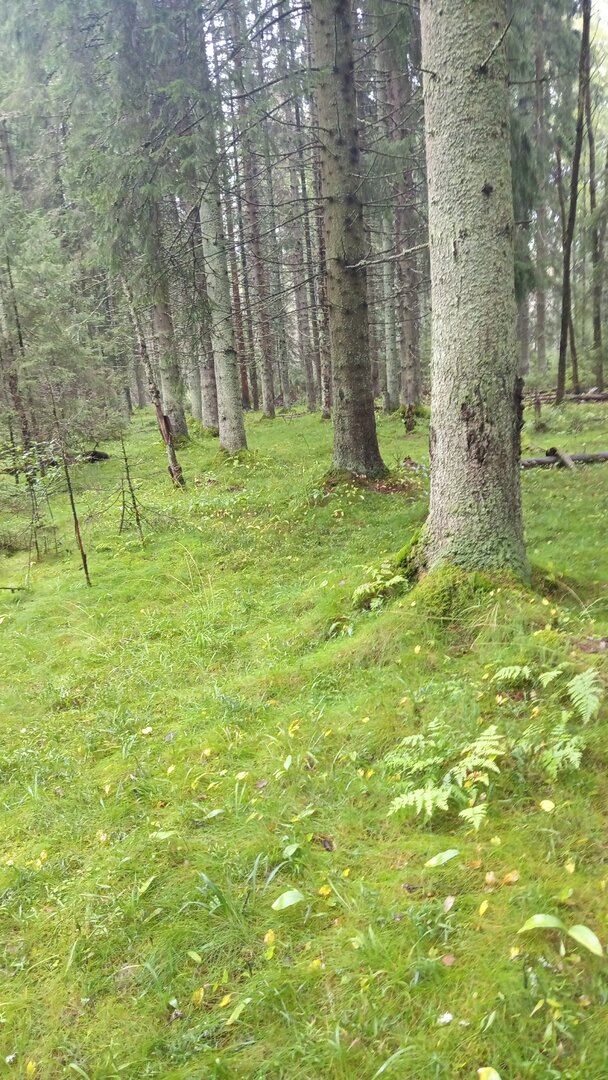 IMG-20250830-WA0018.jpeg