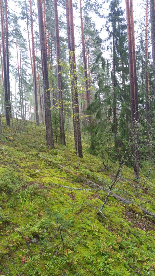 IMG-20250830-WA0021.jpeg