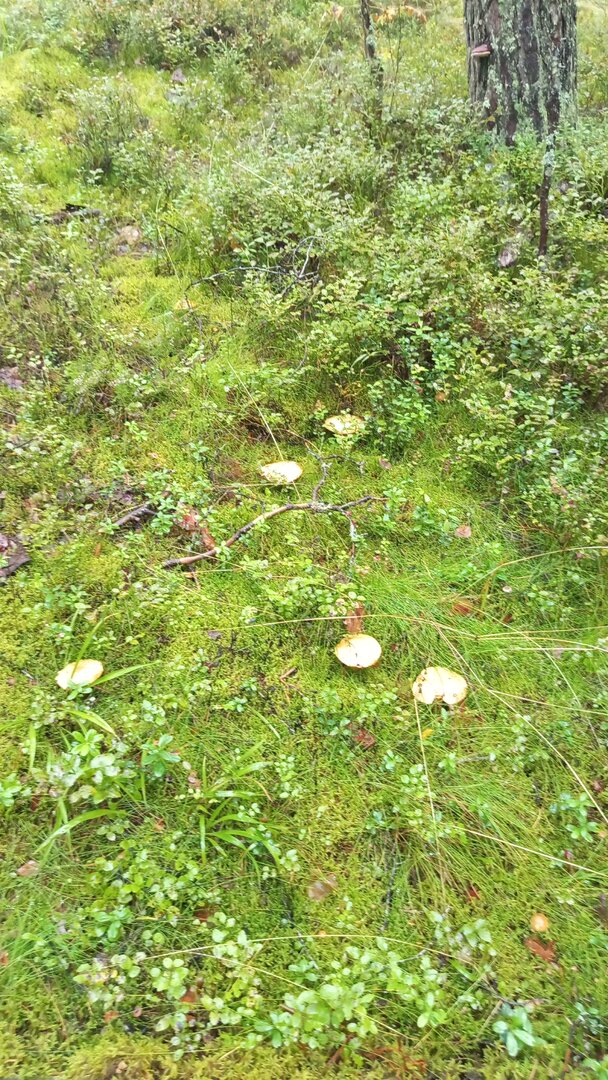 IMG-20250830-WA0027.jpeg