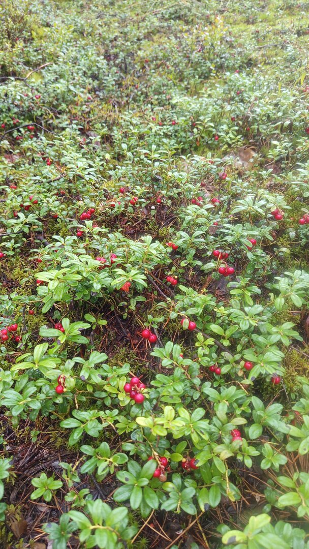IMG-20250830-WA0030.jpeg