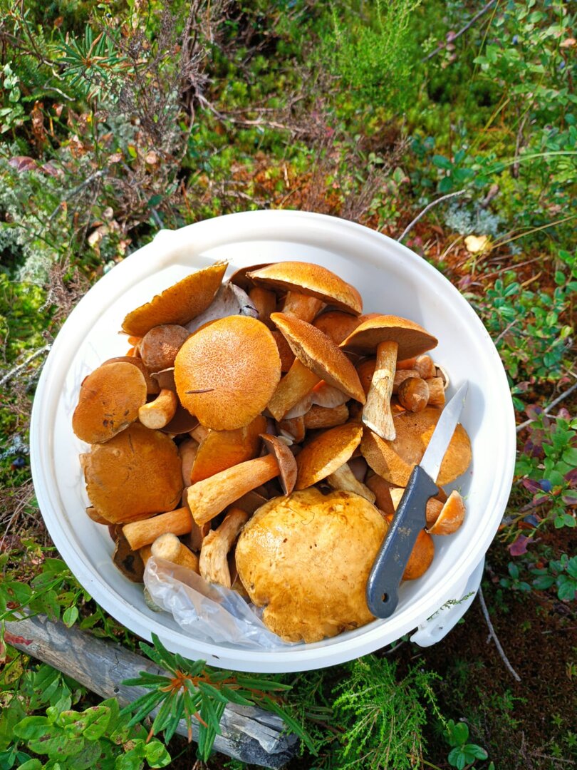 IMG-20250905-WA0022.jpg