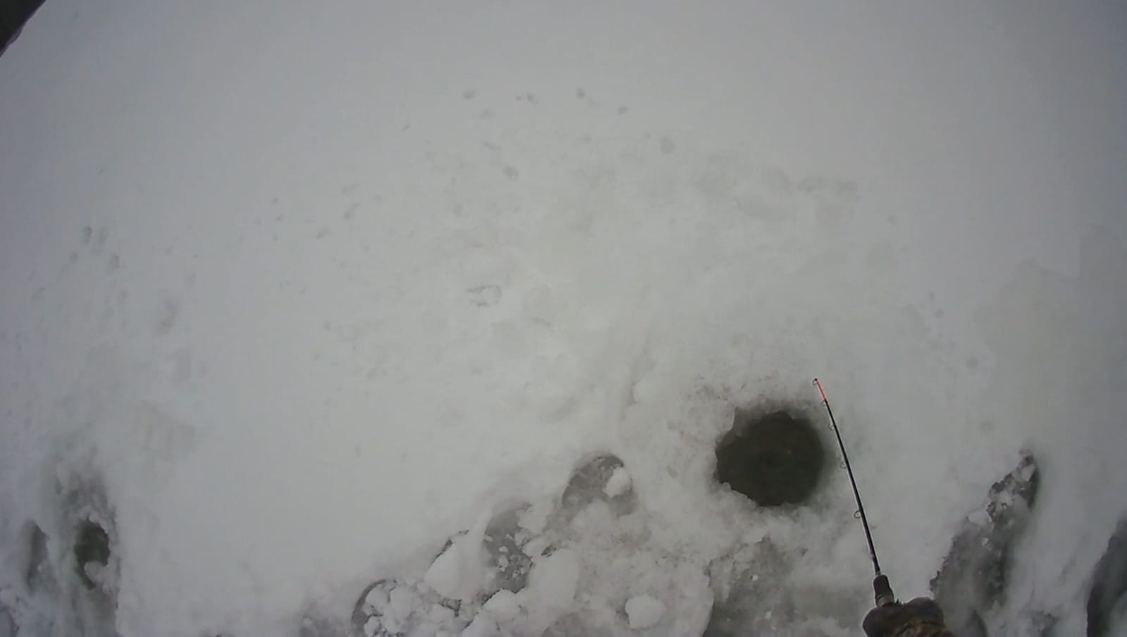 IMG-20260407-WA0006.jpg