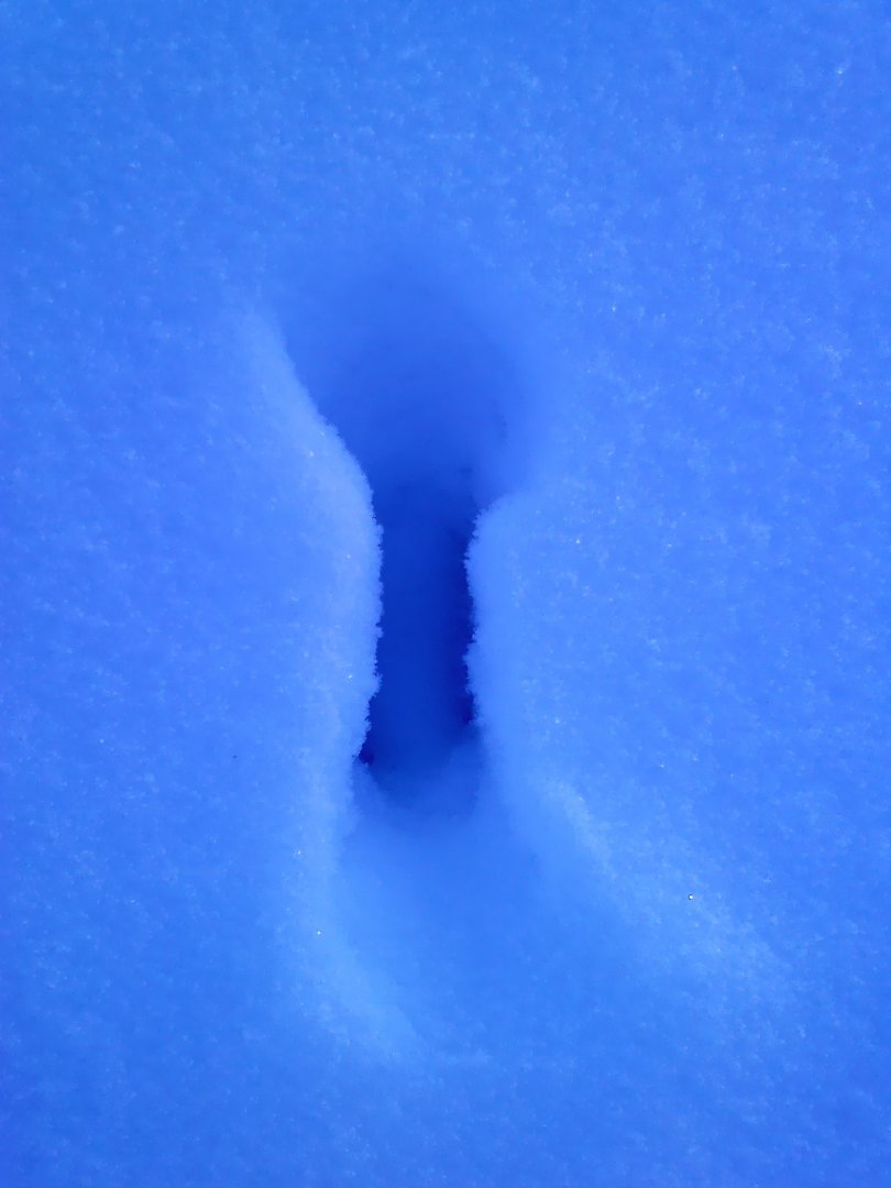 IMG00005.jpg