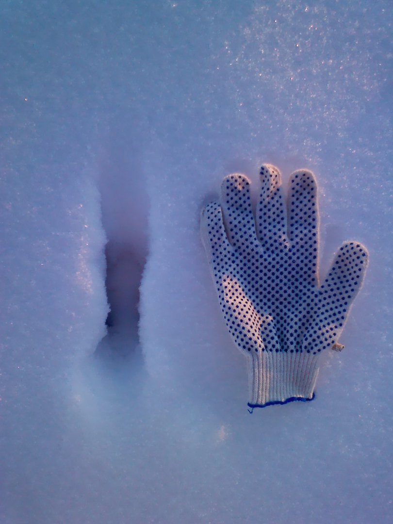 IMG00006.jpg
